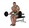 Reverse Curl - Seated EZ Bar Narrow